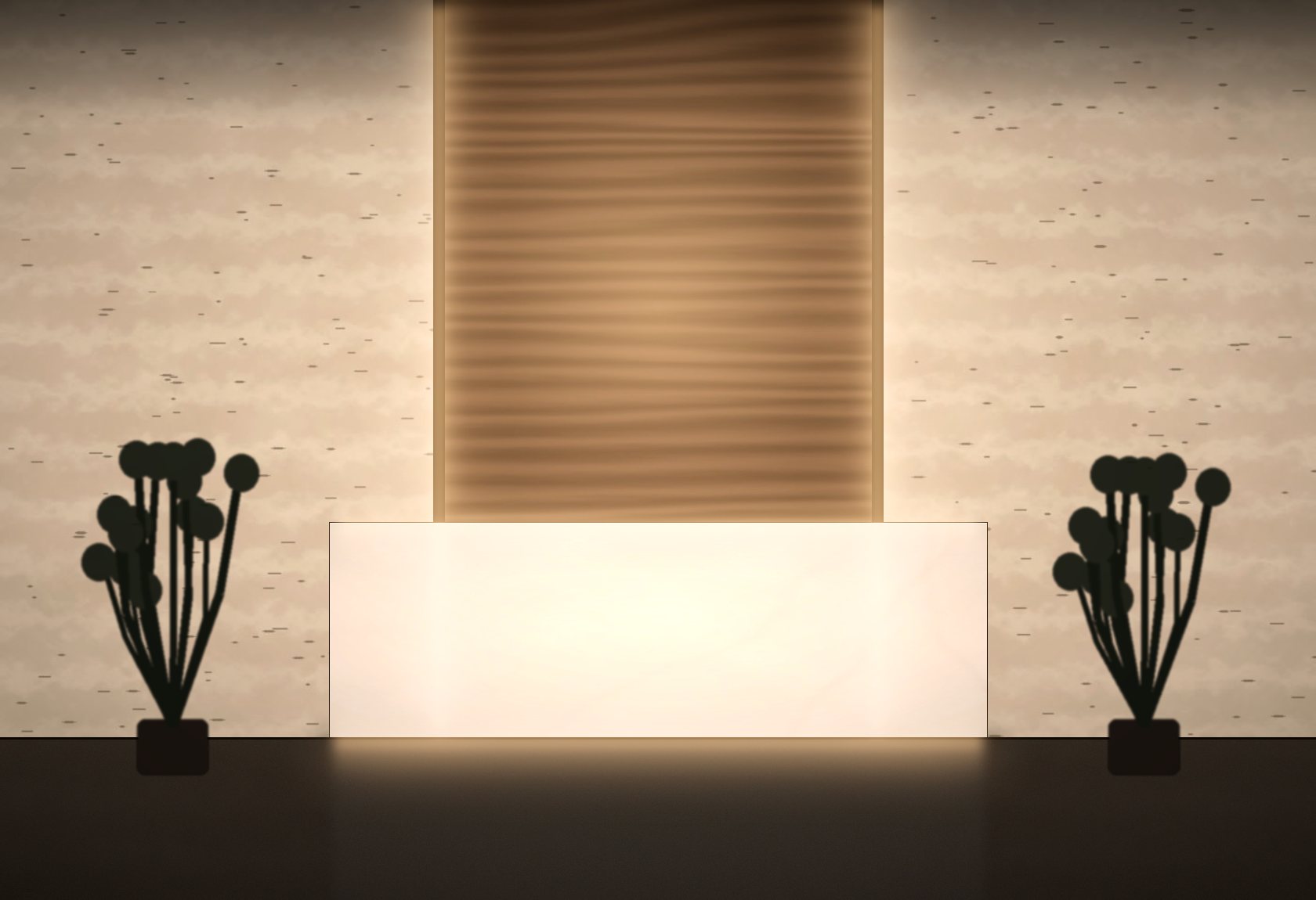 Accueil showroom premium après
